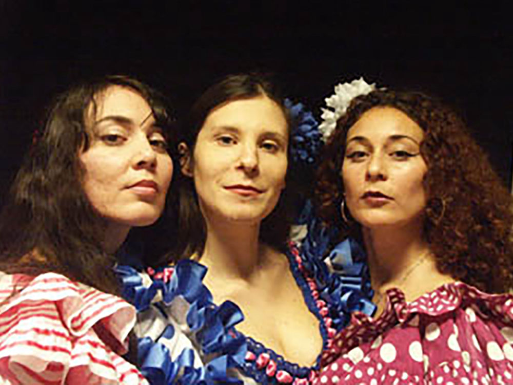Flamenco artiesten: Flamenco Duo, Passievolle Optredens